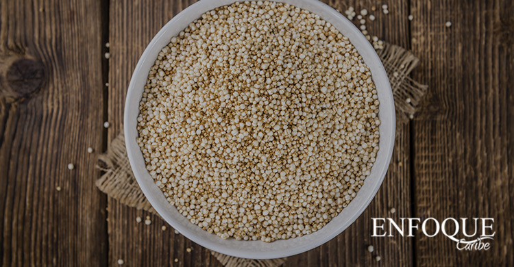 QUÍNOA: CONOZCA LOS MÚLTIPLES BENEFICIOS DE ESTE PSEUDOCEREAL