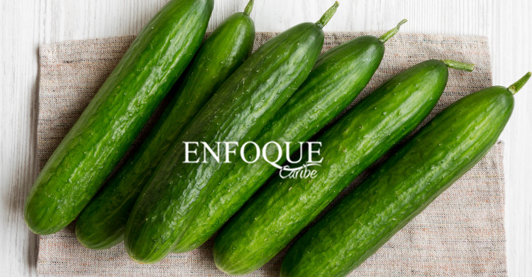 PEPINO CONOZCA LOS PRINCIPALES BENEFICIOS DE ESTA FRUTA PROVENIENTE DE LA INDIA