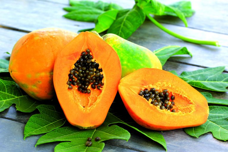 ALIMENTOS QUE COMBATEN EL ENVEJECIMIENTO: RECOMENDACIONES NUTRICIONALES PARA DISMINUIR EL PASO DEL TIEMPO
