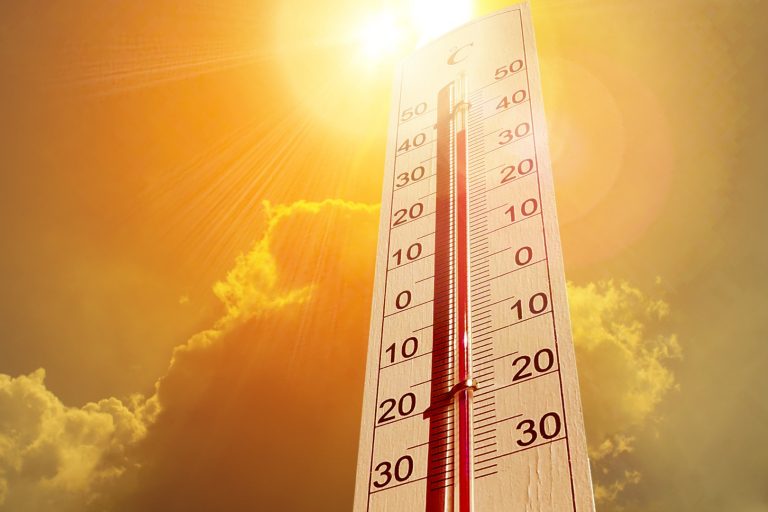 ¿CÓMO PROTEGERNOS DE LAS OLAS DE CALOR?: CONSEJOS QUE TE FACILITARÁN SOBREVIVIR EN MEDIO DE LAS ALTAS TEMPERATURAS ¿CÓMO PROTEGERNOS DE LAS OLAS DE CALOR?: CONSEJOS QUE TE FACILITARÁN SOBREVIVIR EN MEDIO DE LAS ALTAS TEMPERATURAS